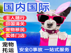 嘎洒航空托运国际宠物托运 【国